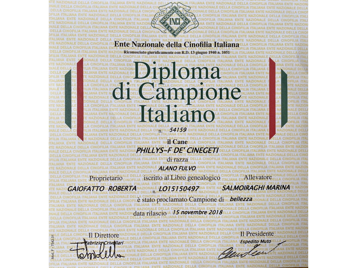 Italian Champion