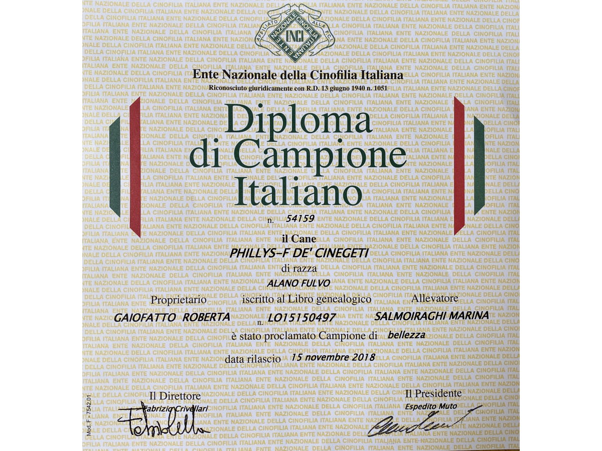 Championne d'Italie