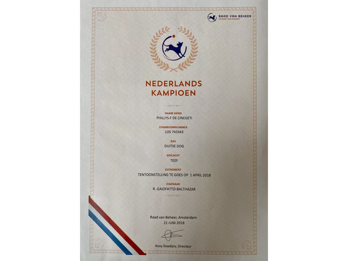 Championne néerlandaise